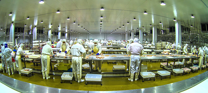 250-周正顺-JDB电子肉鸡宰割车间